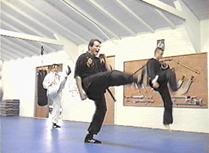 Kung Fu San Soo Photo
